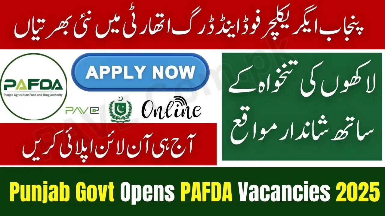 PAFDA Jobs 2025 – Chief Officers & General Managers 