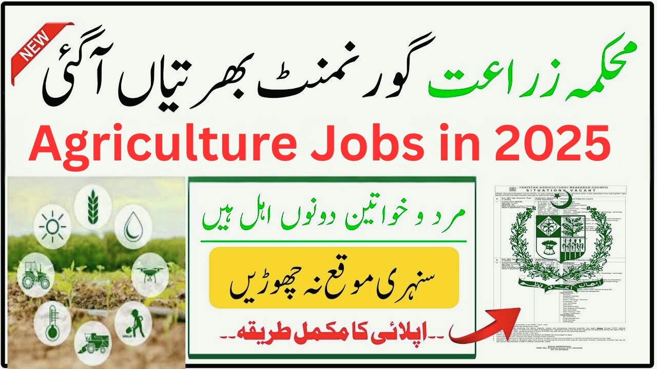  Jobs in Agriculture Department, Punjab 