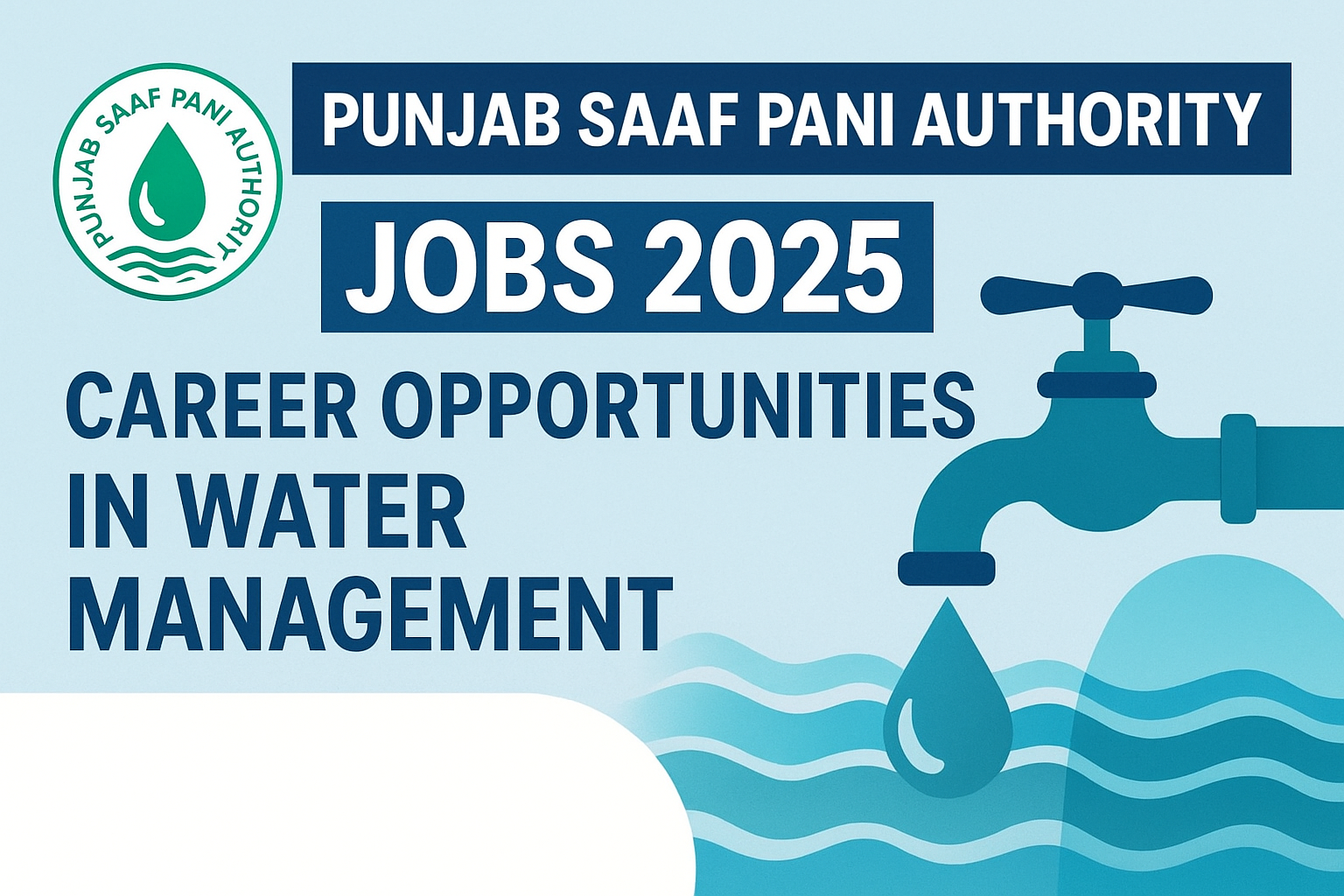 Punjab Saaf Pani Authority Jobs 2025