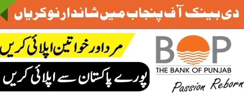  Bank of Punjab Jobs 2025 – Branch Manager Positions