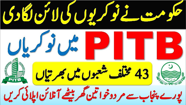  Punjab Information Technology Board (PITB) Jobs April 2025 | Apply Online for IT & Software Vacancies