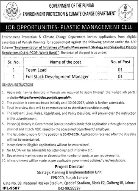EP&CCD Punjab Team Lead & Developer Jobs 2026 Apply Online - Original Advertisement