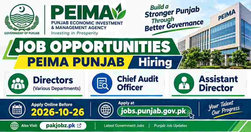 PEIMA Punjab Jobs 2026 Director Chief Audit Apply Online - Job Poster