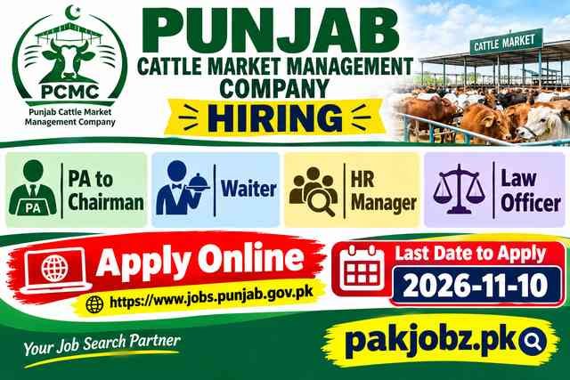 PCMMDC Lahore Jobs 2026 PA Waiter HR Apply Online - Job Poster